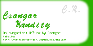 csongor mandity business card